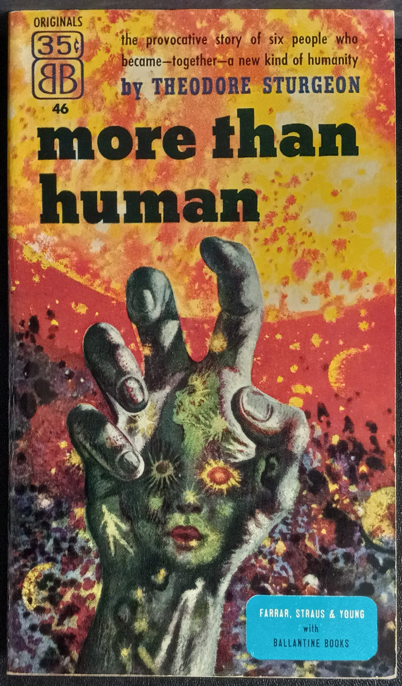 More-Than-Human-Sturgeon