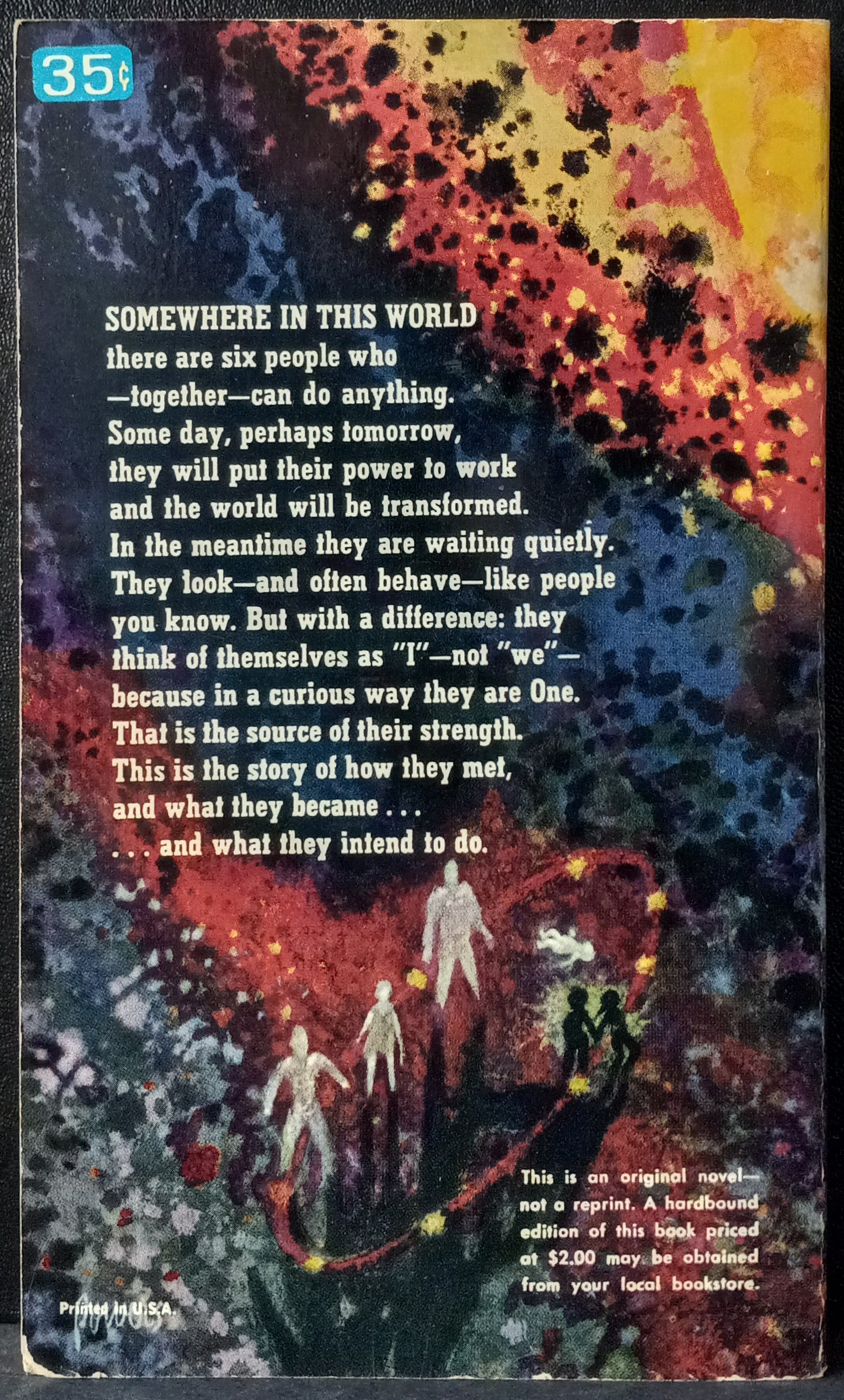 More-Than-Human-Sturgeon